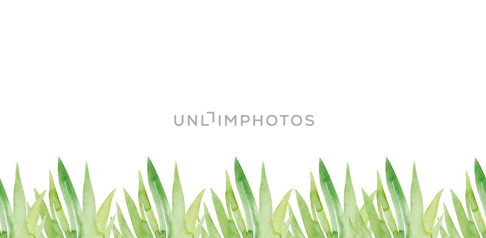 Watercolor green grass seamless border on white by dreamloud