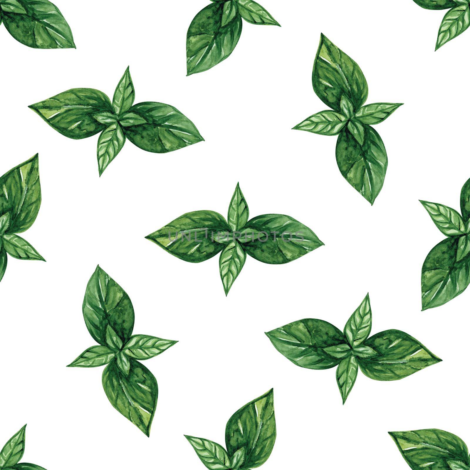 Watercolor basil leaves seamless pattern on white background. Hand drawn print for fabric, textile, wrapping, wallpaper