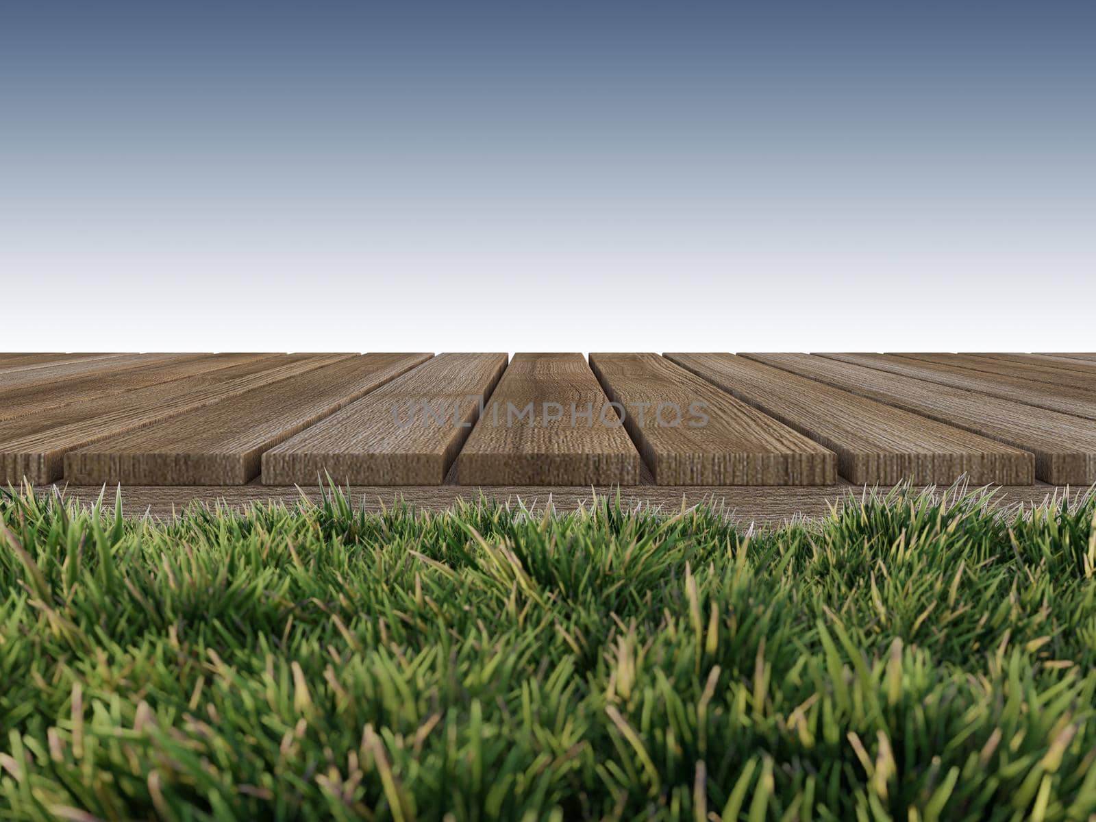Mockup background for 3d rendering of wooden panel which have grasses as foreground. by Kankliang