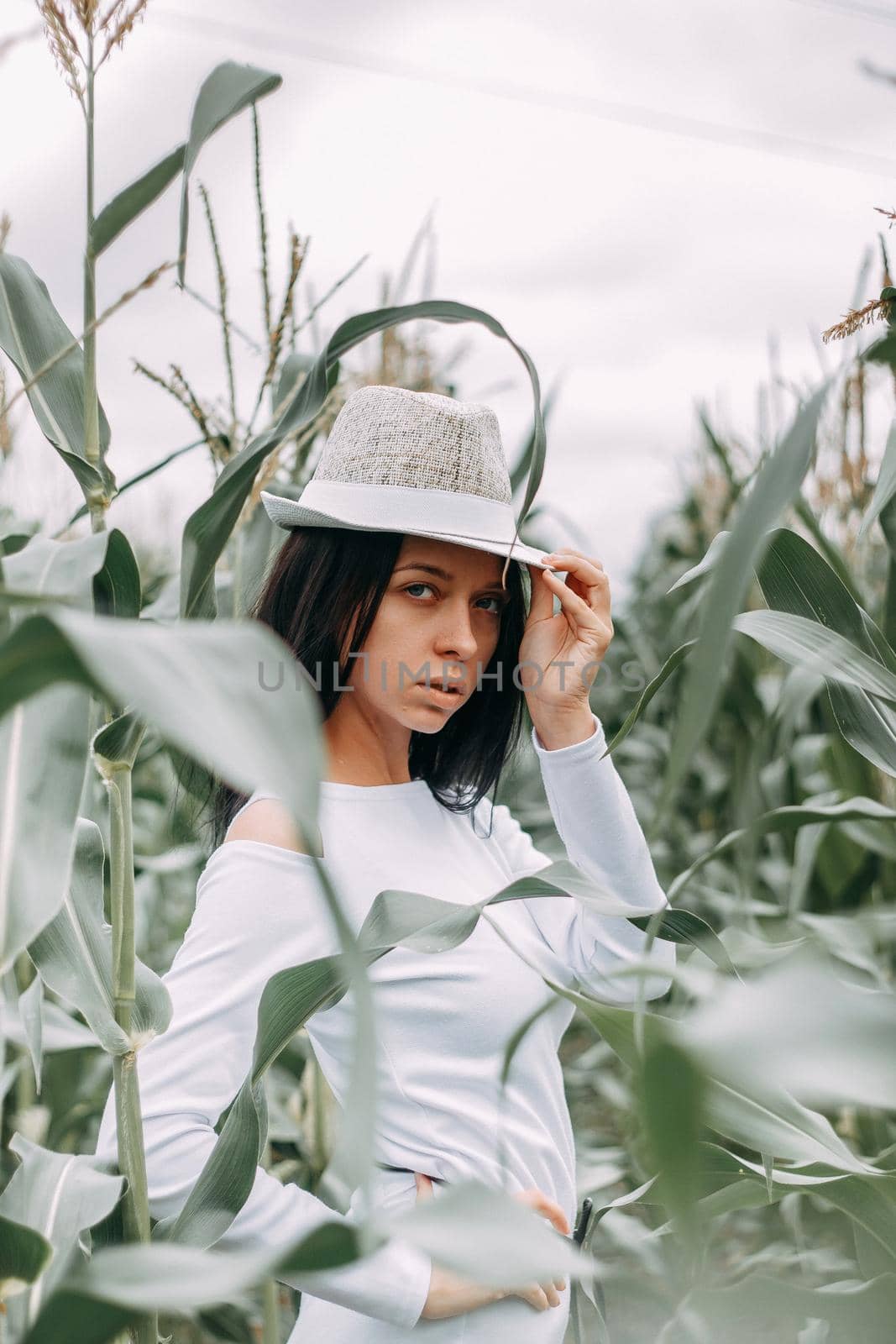A brunette girl in a white dress in a cornfield. The concept of harvesting.