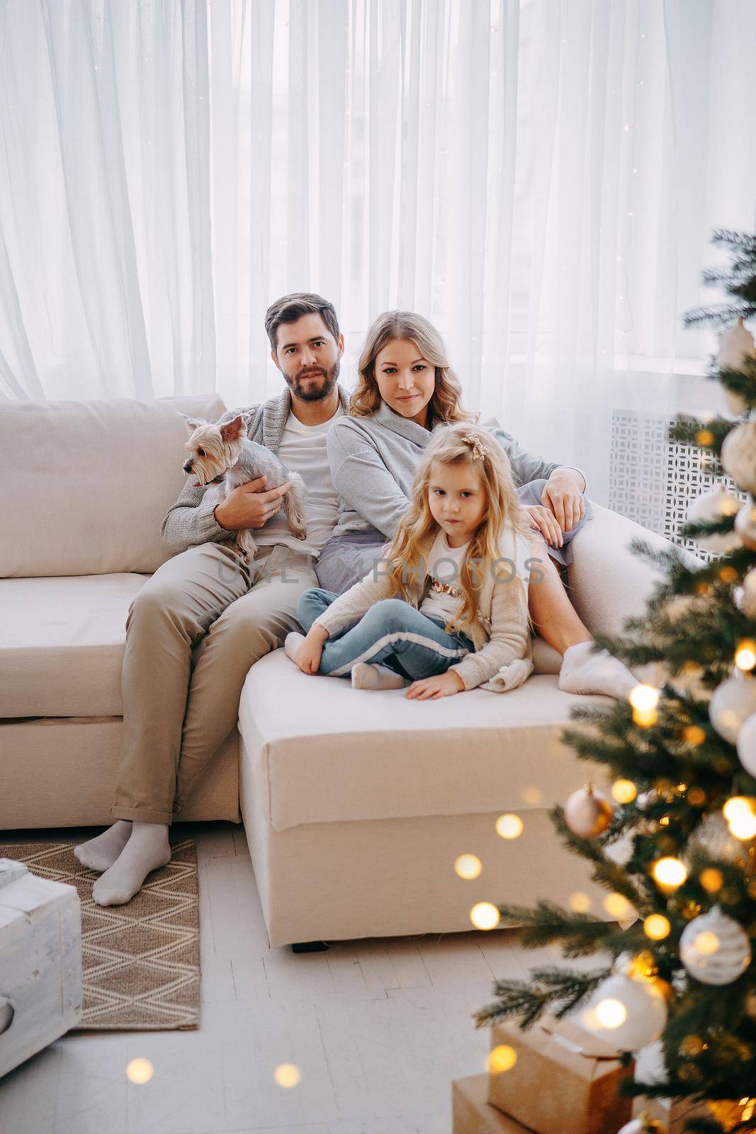 Happy family: mom, dad and pet. Family in a bright New Year's interior with a Christmas tree.