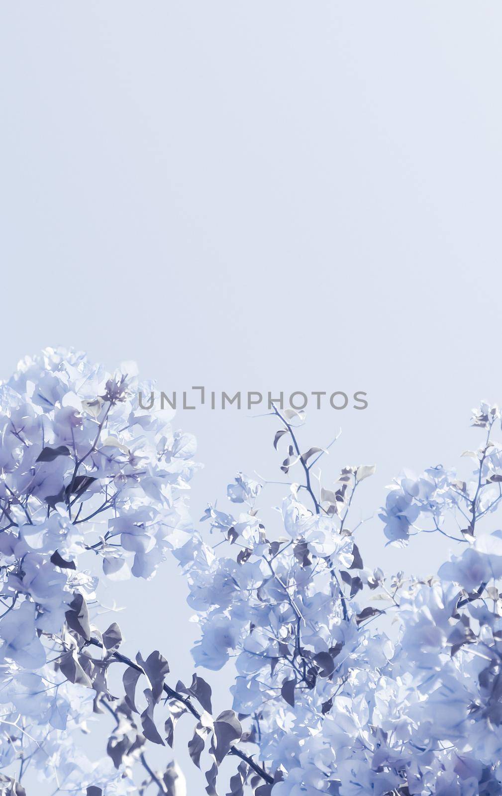 Blue floral composition by Anneleven