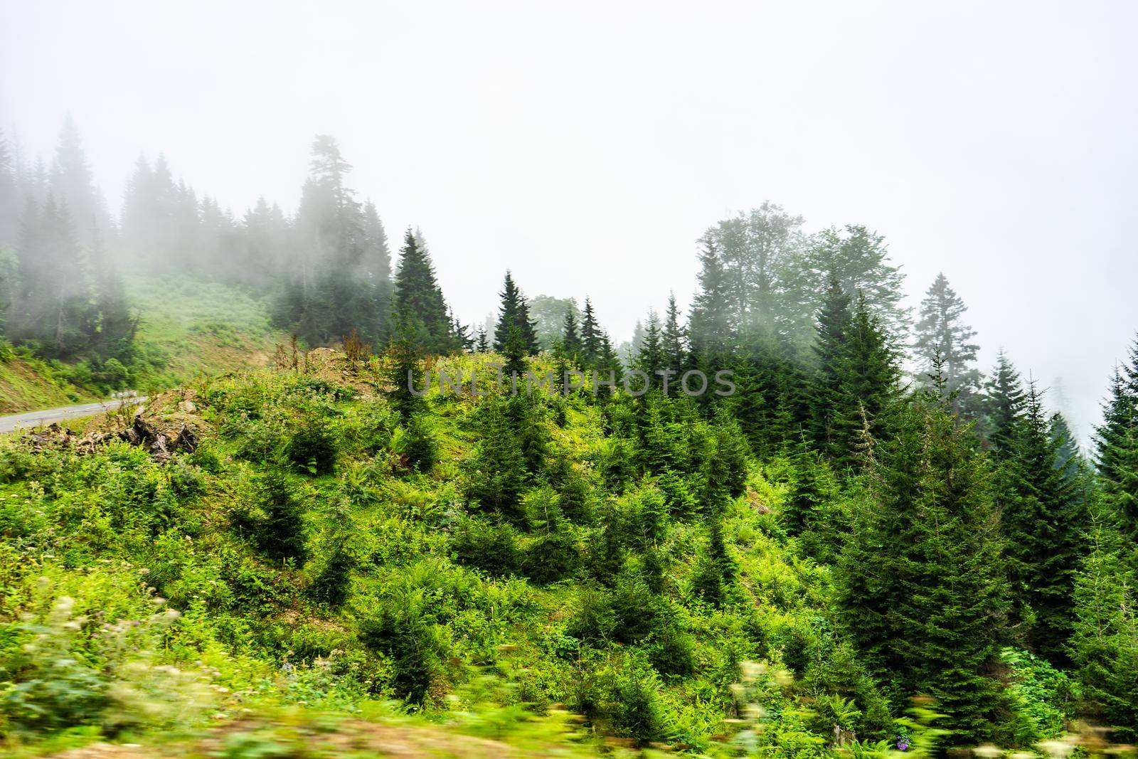 Caucasus mountain in georgian region Guria by Elet