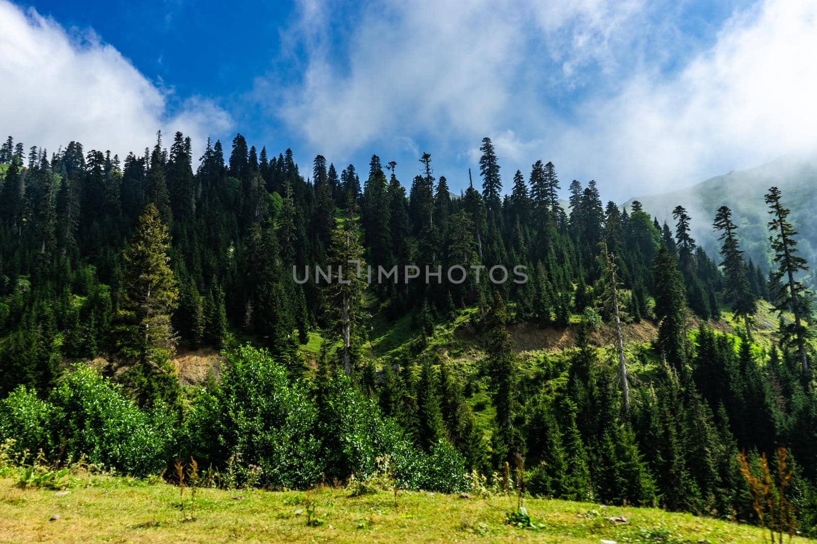 Mountain landscape in famous recreation zone of Guria region in western part of Georgia