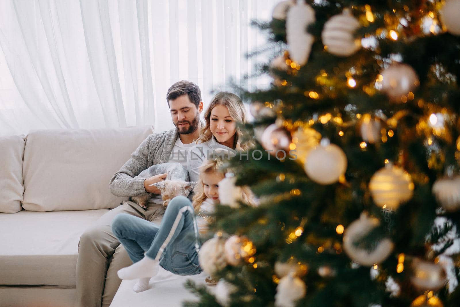 Happy family: mom, dad and pet. Family in a bright New Year's interior with a Christmas tree.