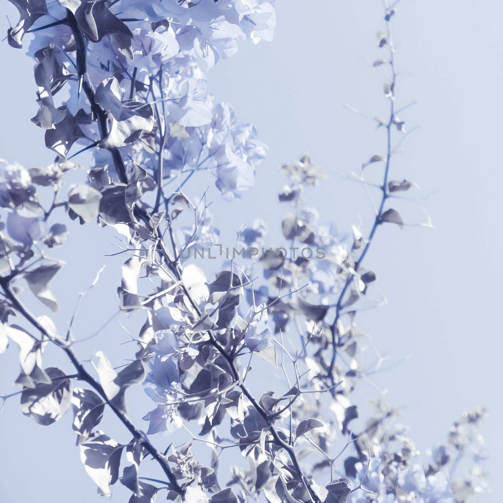 Blue floral composition by Anneleven