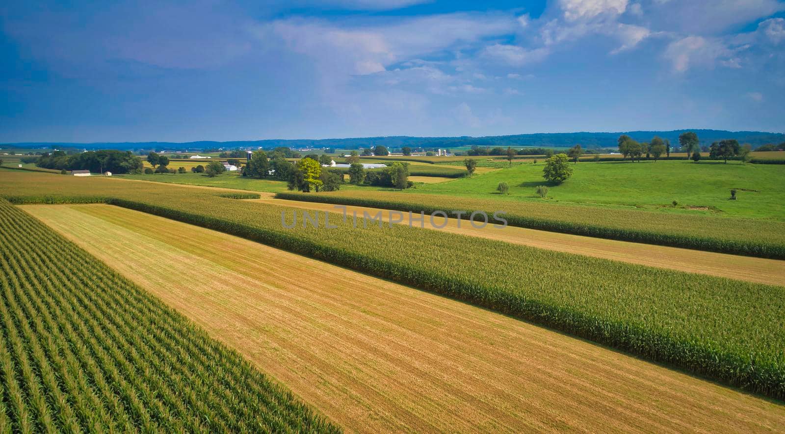 Drone View of Amish Countryside With Barns and Silos and Corn, Patch Work of Color and Corps, on Sunny Day.