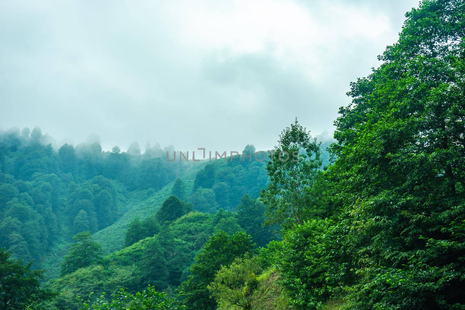 Mountain landscape in famous recreation zone of Guria region in western part of Georgia