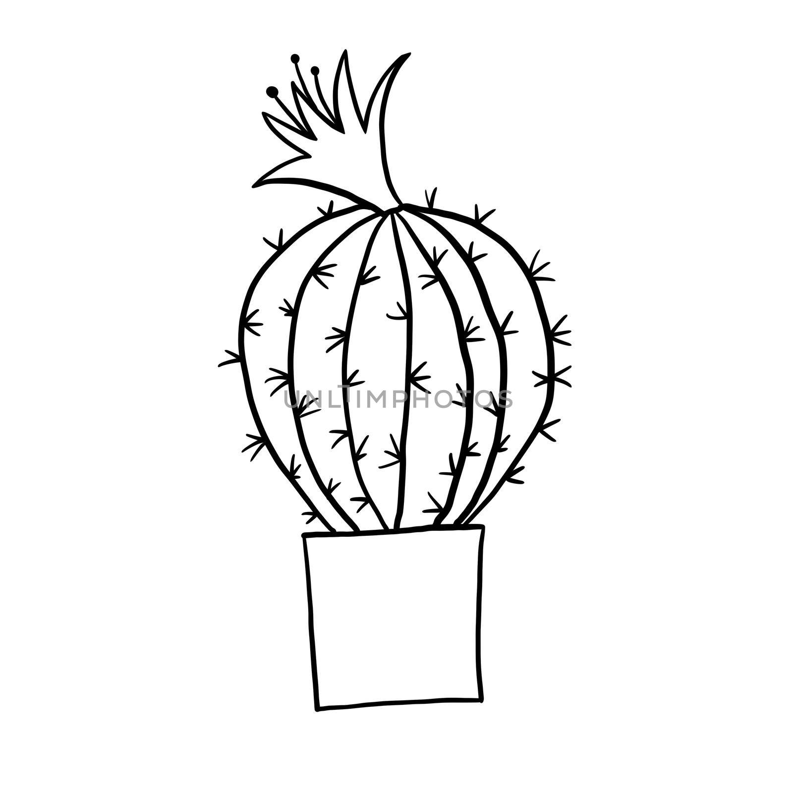 Cactus cacti succulent in a pot in black line outline cartoon style. Coloring book houseplants flowers plant for interrior design in simple minimalist design, plant lady gift. by Lagmar