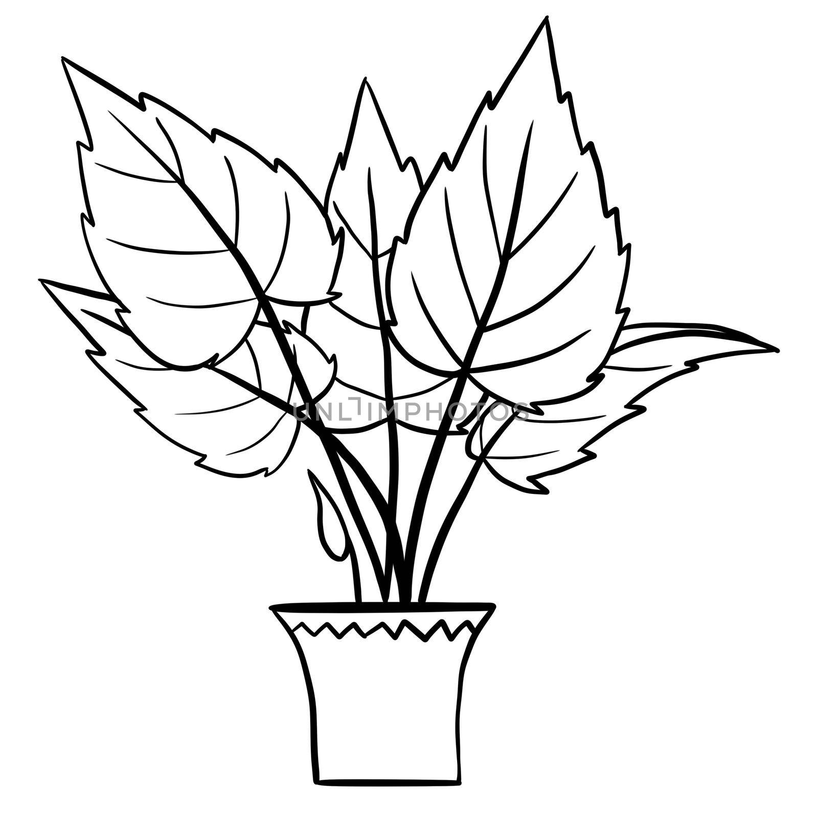 Alocasia begonia in a pot in black line outline cartoon style. Coloring book houseplants flowers plant for interrior design in simple minimalist design, plant lady gift. by Lagmar