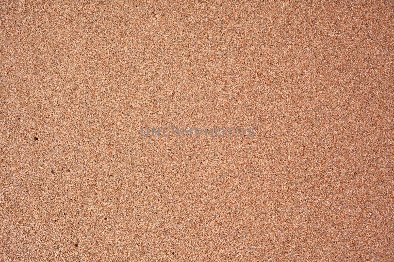 The texture of pure sand on the beach or in the desert. There is free space for the text.