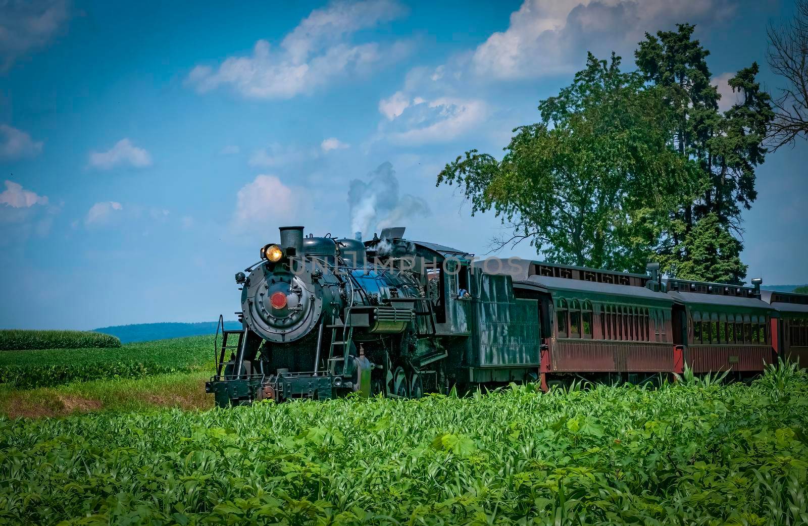 An Antique Steam Passenger Train Approaching on a Single Track Blowing Smoke on a Sunny Day