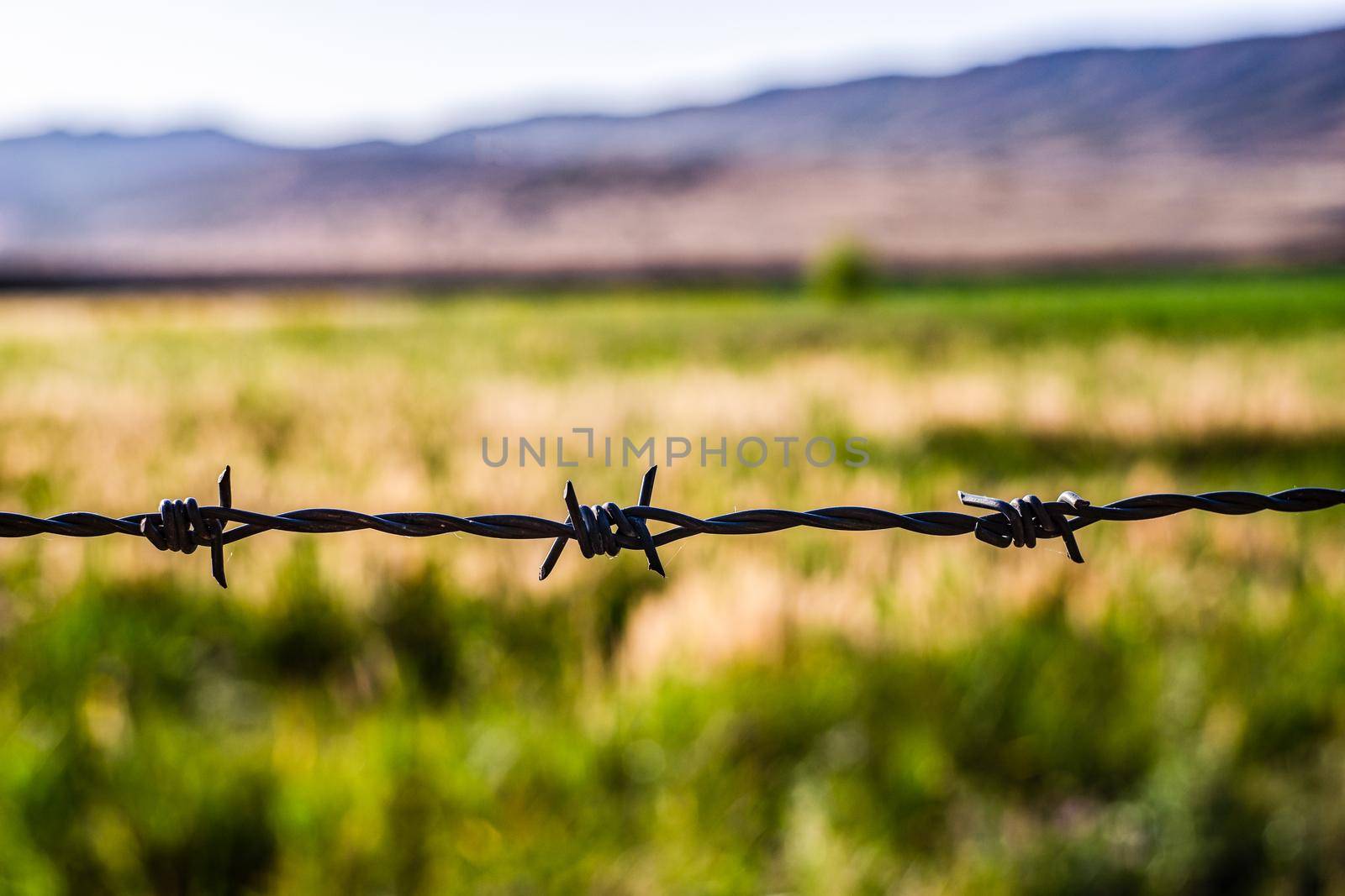 Close up of Barbed wire on the border by Elet