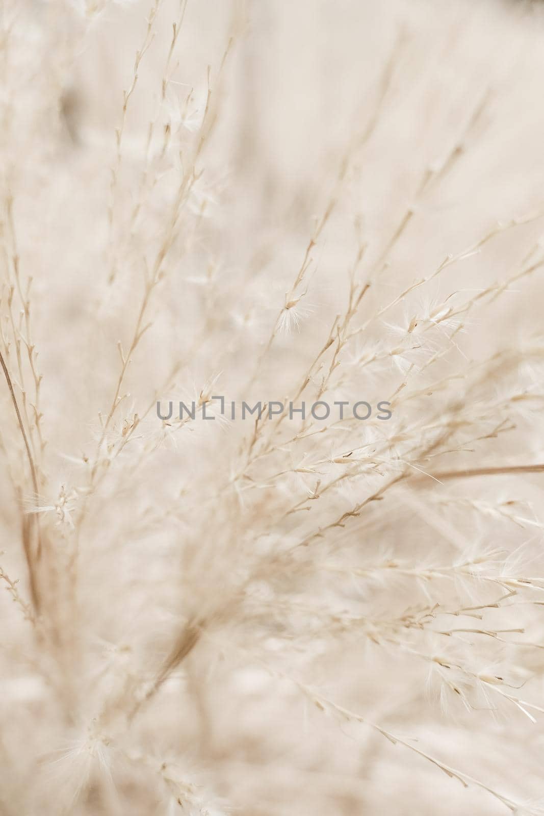 Beauty in nature, balanced lifestyle, environmental concept - Rustic autumn field