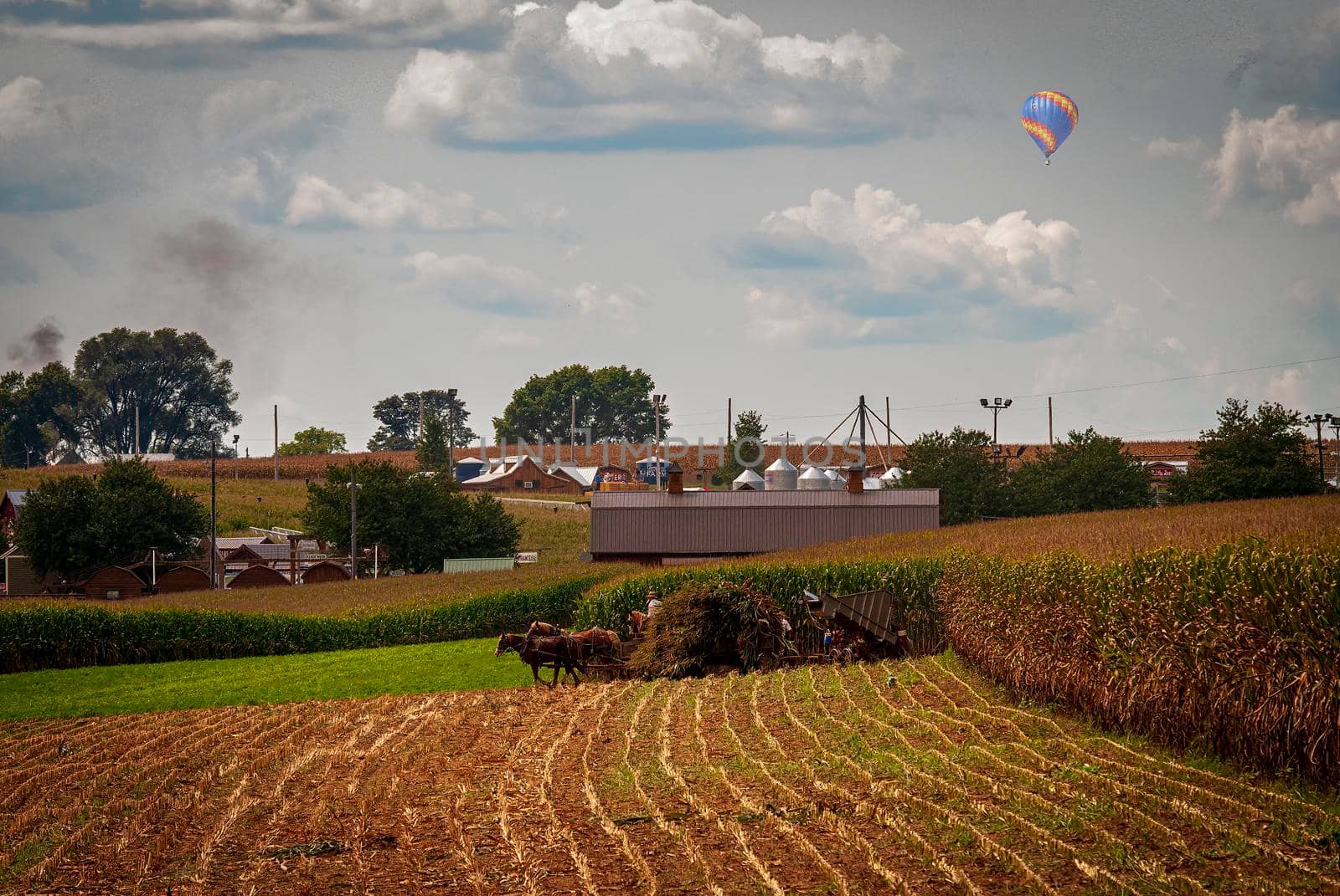 A View of Amish Harvesting There Corn Using Six Horses and Three Men as it was Done Years Ago on a Sunny Fall Day
