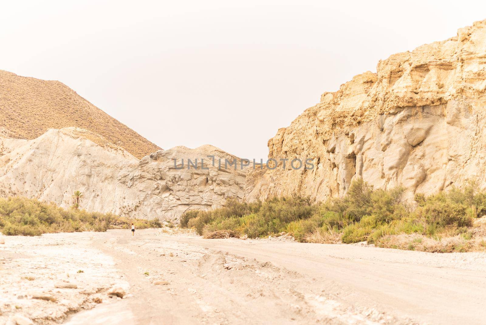 Unrecognizable tourist walking on sandy road against mountains with green shrubs on sunny day in Tabernas desert