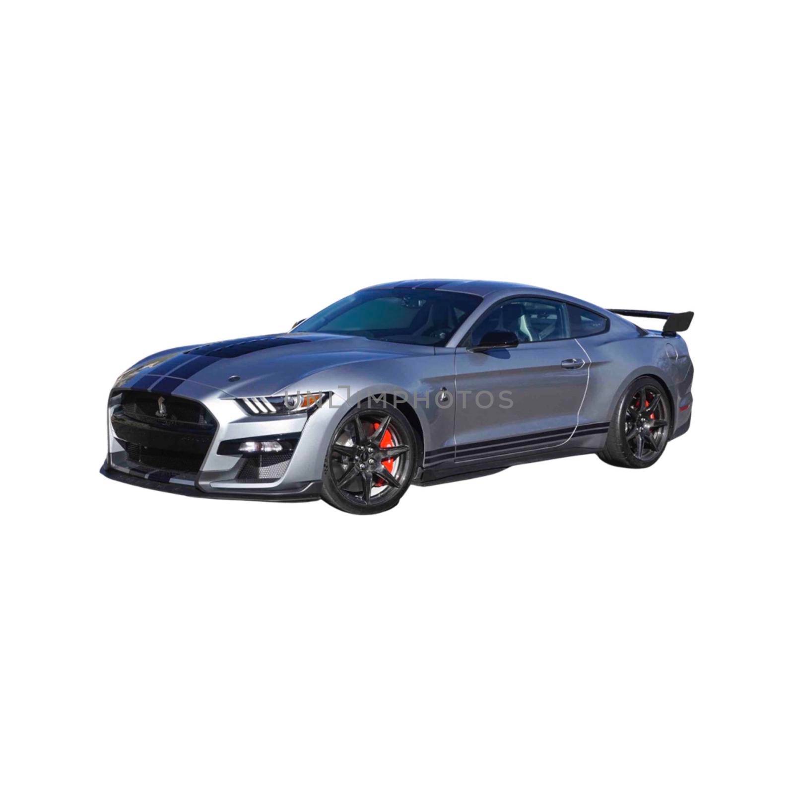 Picture of a Mustang GT500 Shelby . High quality photo