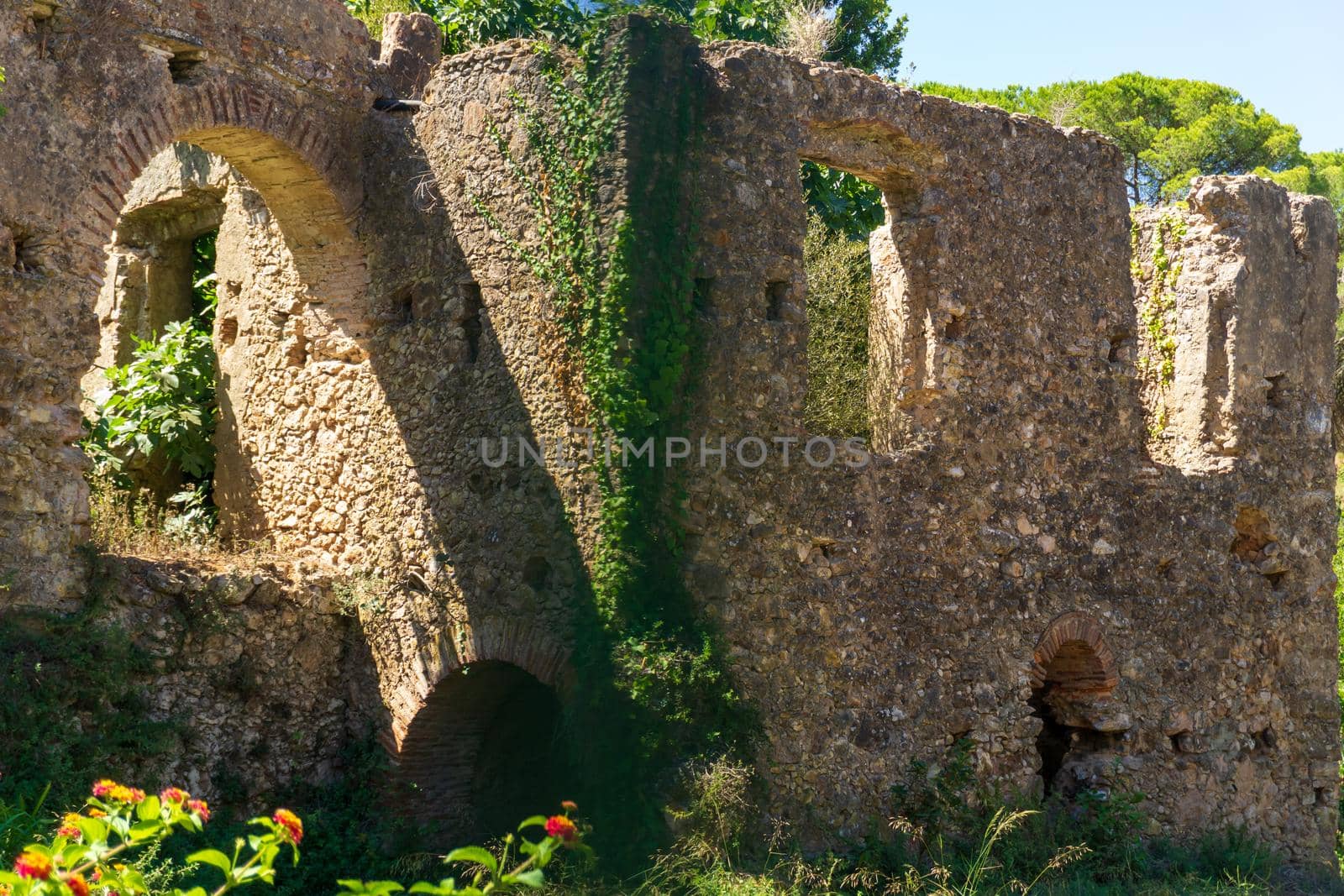 Ancient ruins overgrown with plants background
