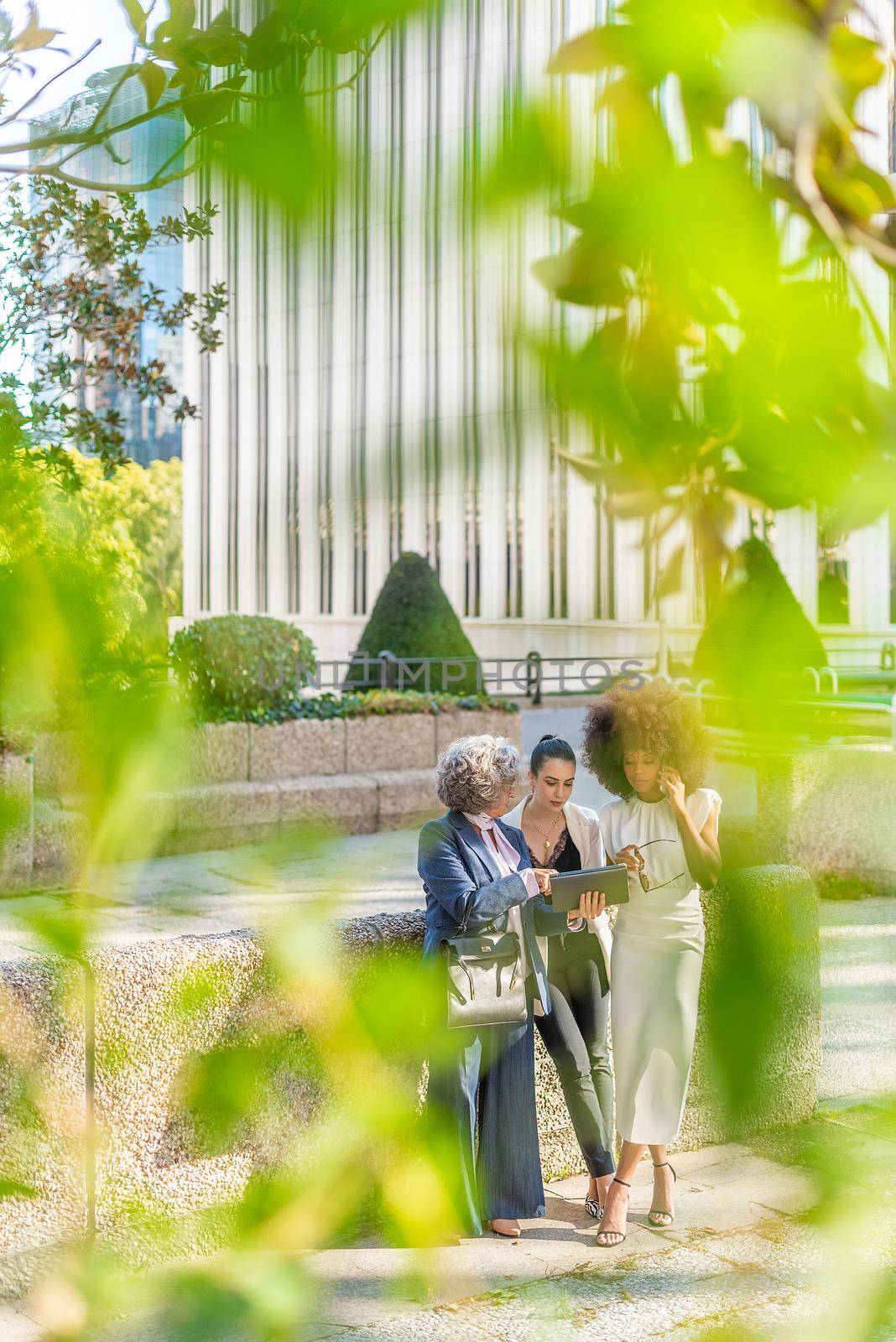three businesswomen in the background looking at a tablet, blurred leaves in the front
