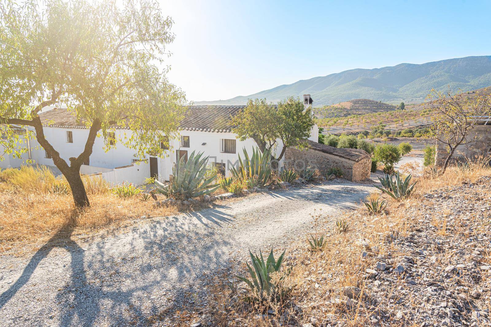 View of a dirt road in a rural setting with hills and mountains and a rural hotel in Almeria, Spain. Concept of tourism, vacations.