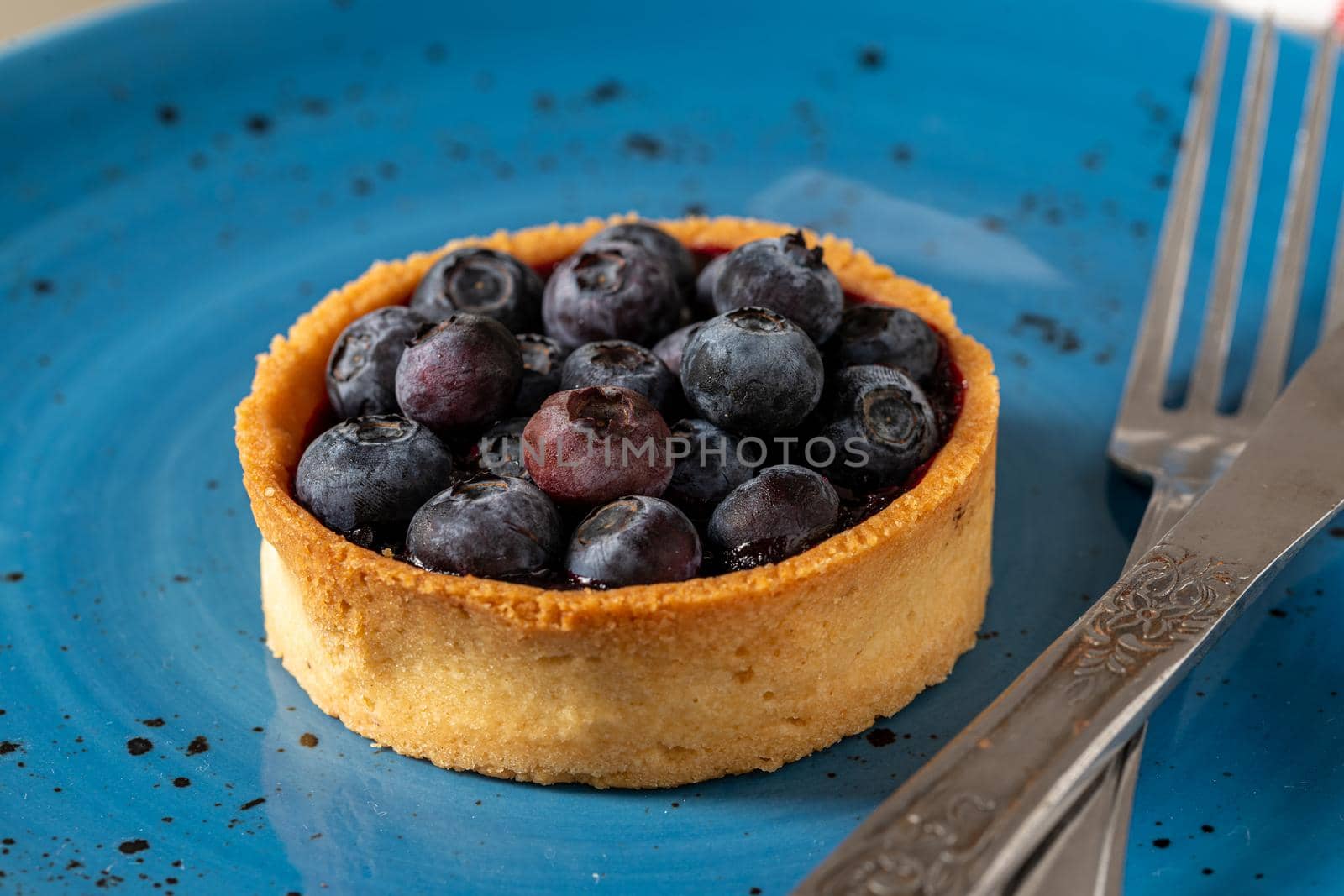 Freshly baked blueberry tart on a blue porcelain plate by Sonat