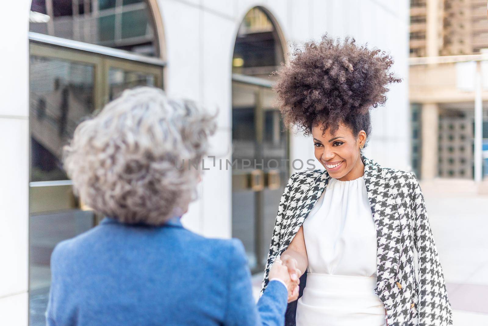 businesswoman receives director of another company, horizontal view from the back