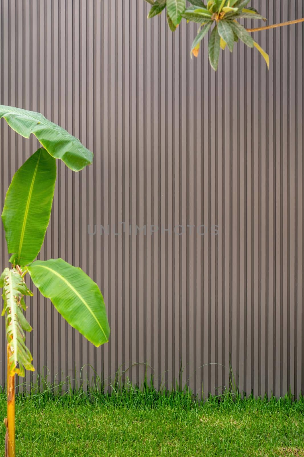 plastic exterior panel cladding wall with green leaves in front by Sonat