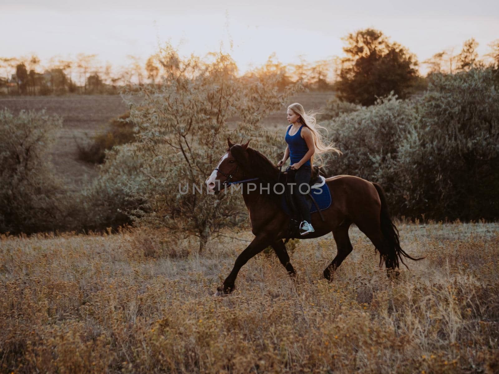 Pretty horsewoman riding dark horse on field in fall. Concept of farm animals, training, horse racing, nature. High quality photo