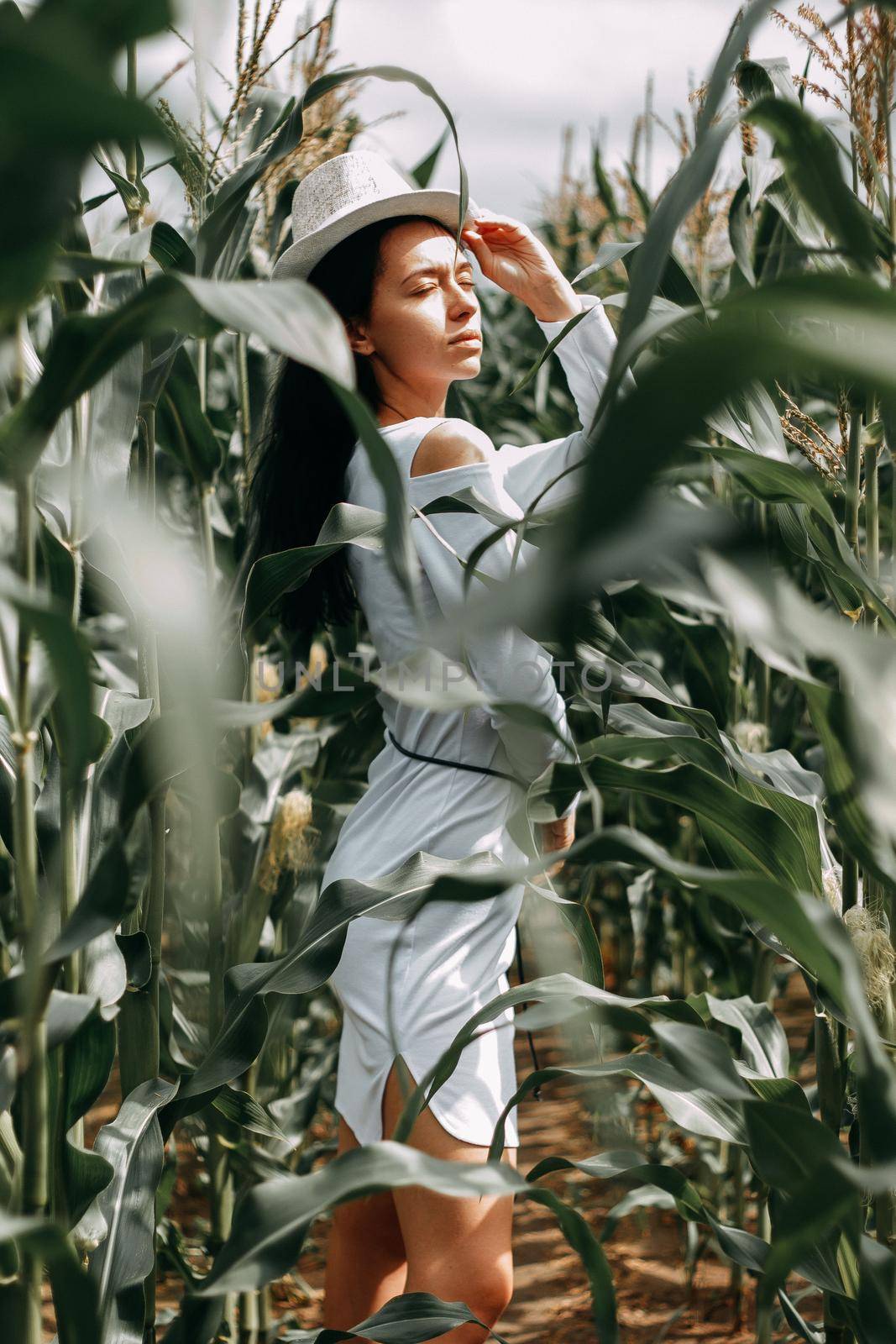 A brunette girl in a white dress in a cornfield. The concept of harvesting.