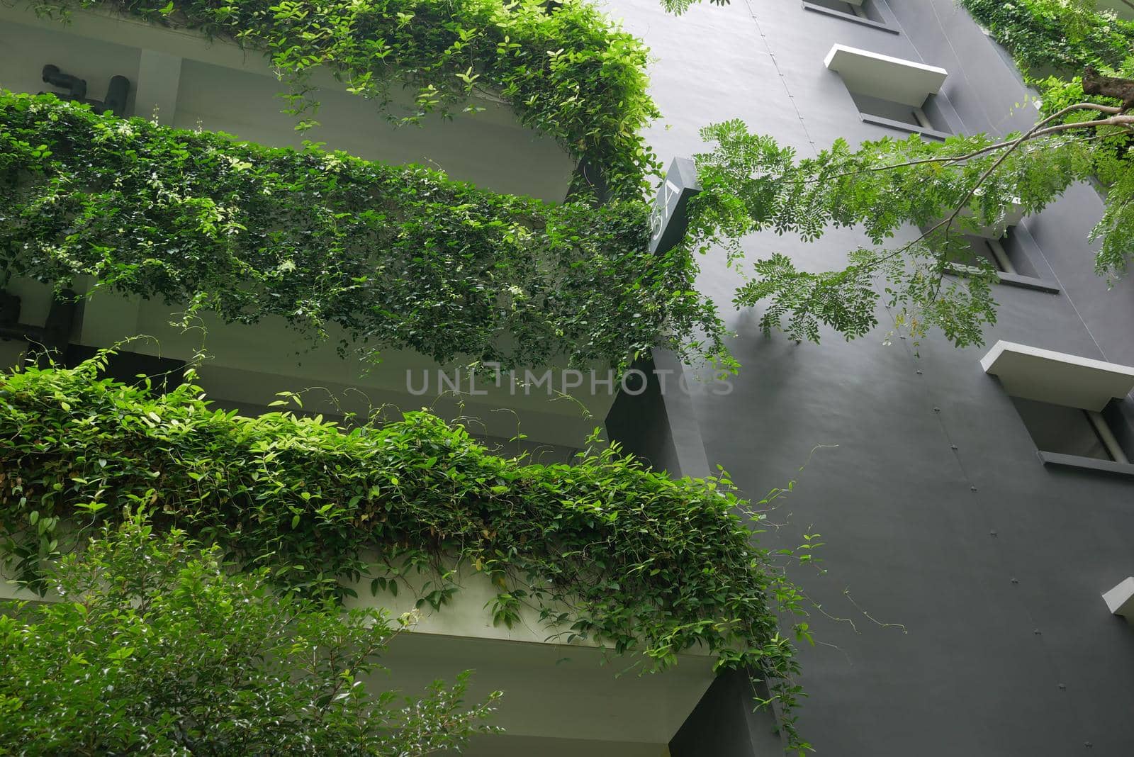 building with plants growing on the facade.