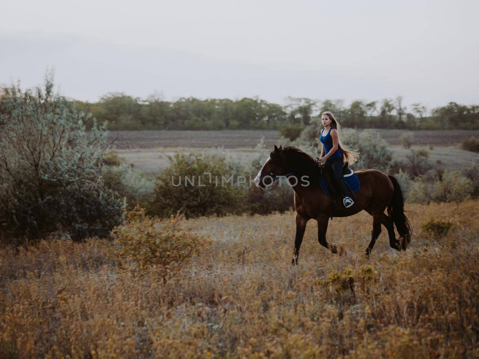 Pretty horsewoman riding dark horse on field in fall. Concept of farm animals, training, horse racing, nature. High quality photo