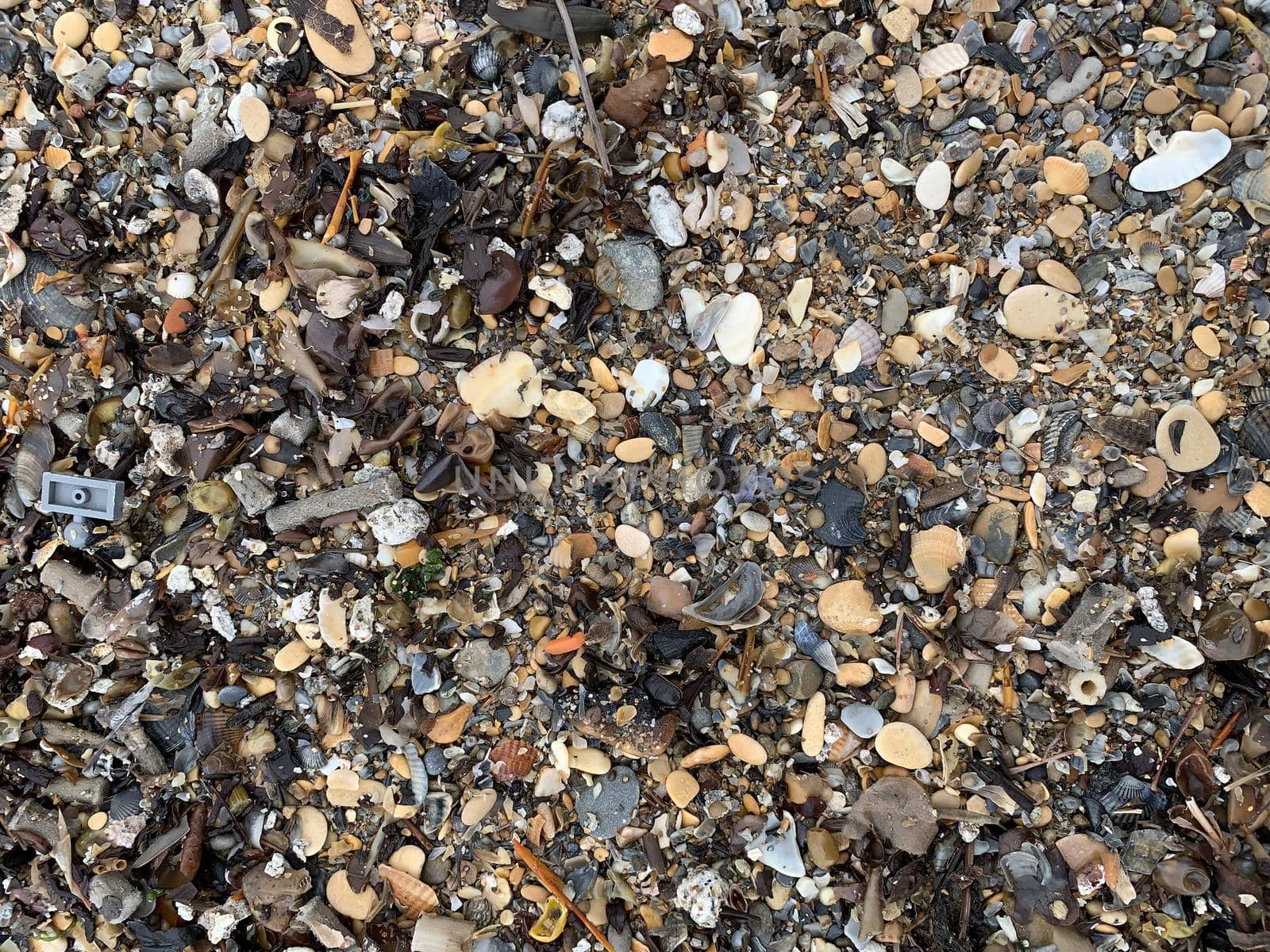 garbage after the surf on the seashore shells pebbles human waste. environmental problems