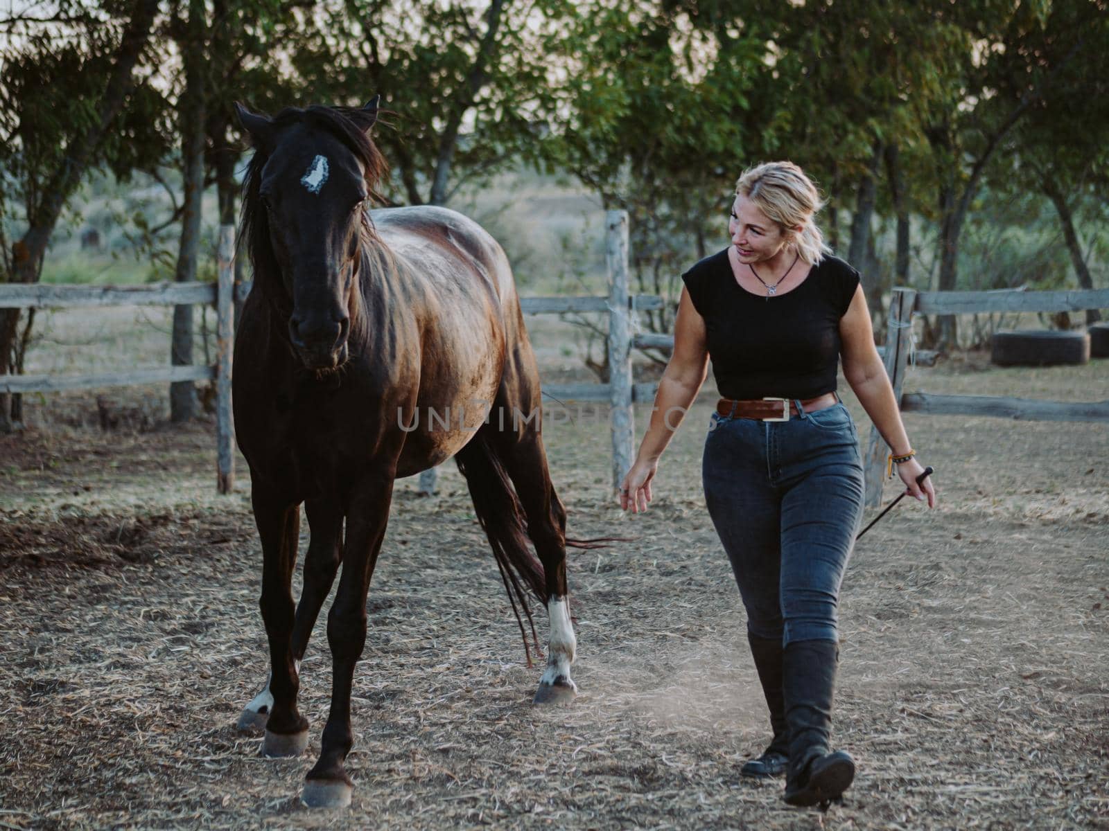 Horse training on country ranch. Beautiful woman runs next to stallion in a corral. concept of farm animals, training, horse racing, nature. High quality photo