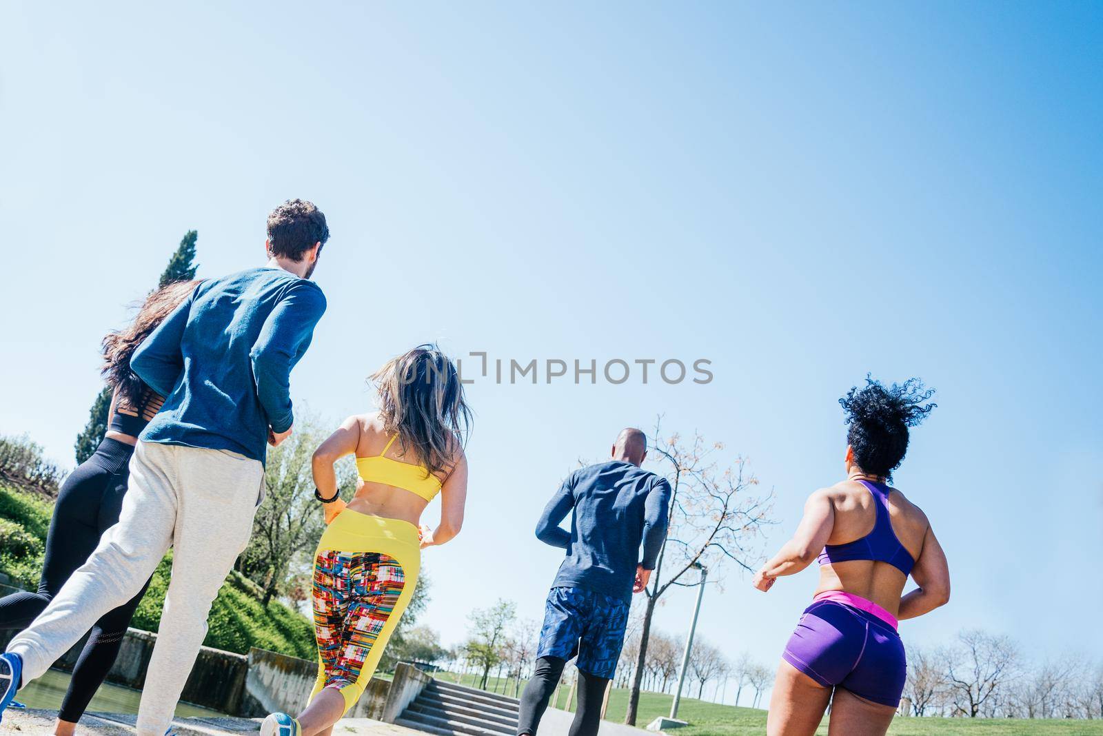 Group of runners training in a park. Back view.