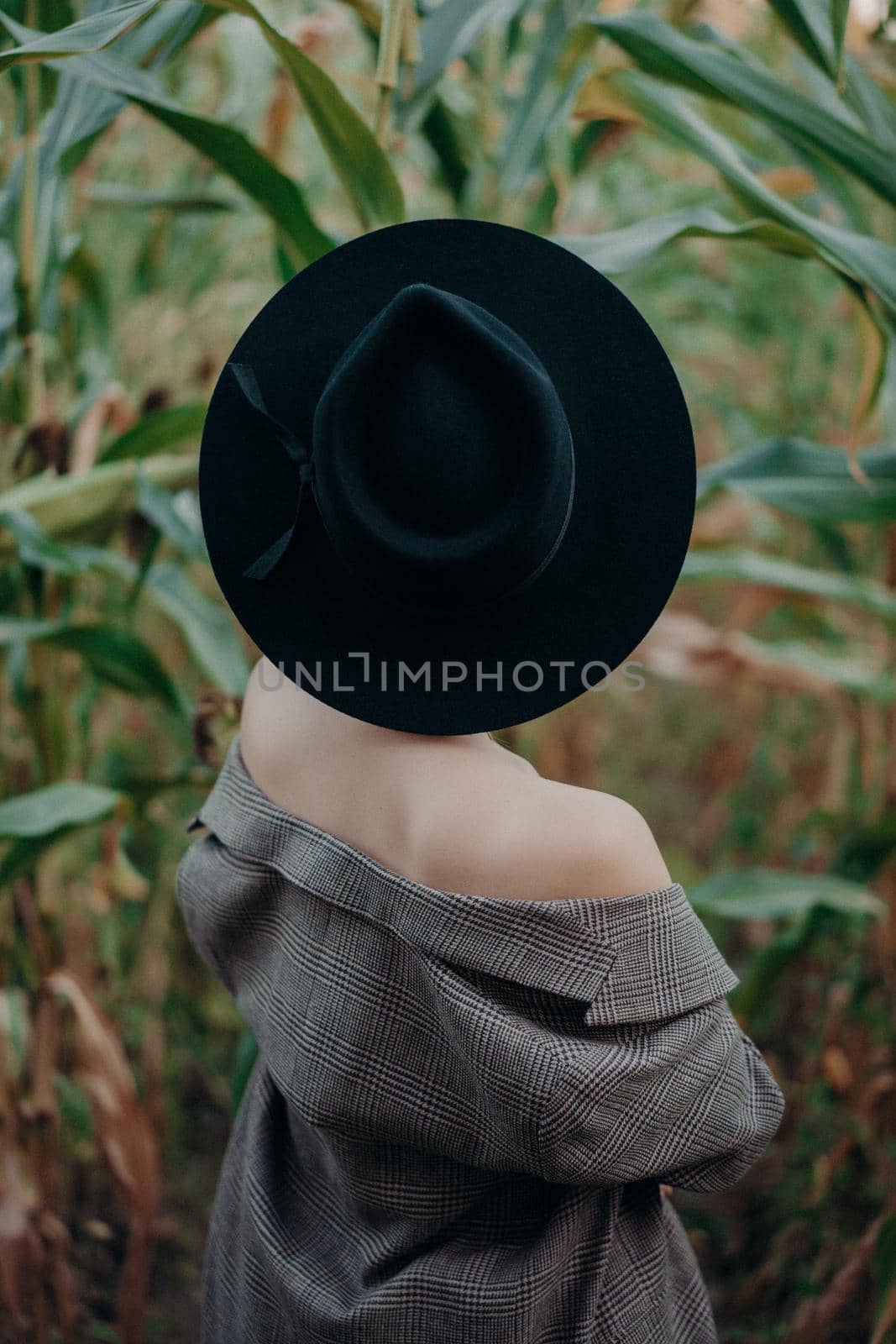 Trendy woman in plaid blazer and hipster hat at corn background. Fashion girl portrait, she posing on natural landscape. by kristina_kokhanova