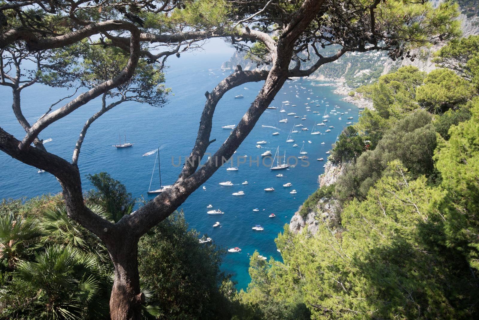 View from the top of many small boats in the sea, on a beautiful sunny summer day. Capri island.