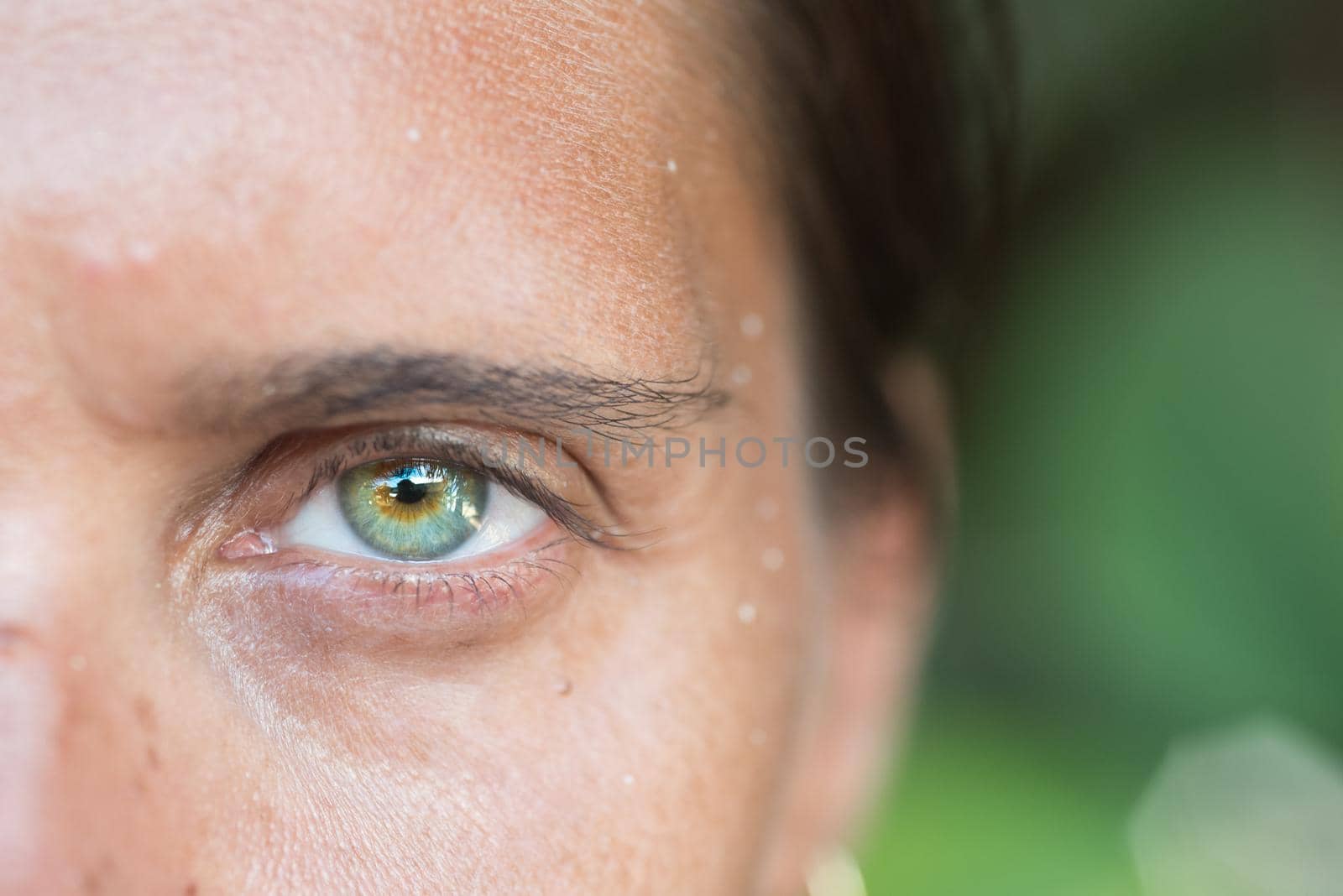 Close-up of woman with beautiful green eyes, half face frame, staring at camera with green vegetation background.