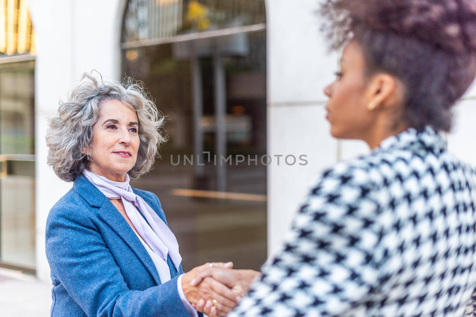 side view of two women agreeing to work together, horizontal blurred background