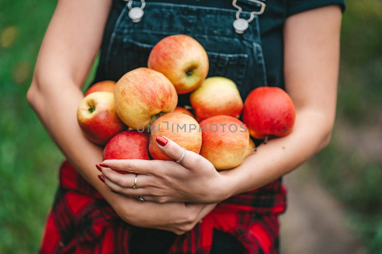 Blue haired woman picked up a lot of ripe red apple fruits from tree in green garden. Organic lifestyle, agriculture, gardener occupation by kristina_kokhanova