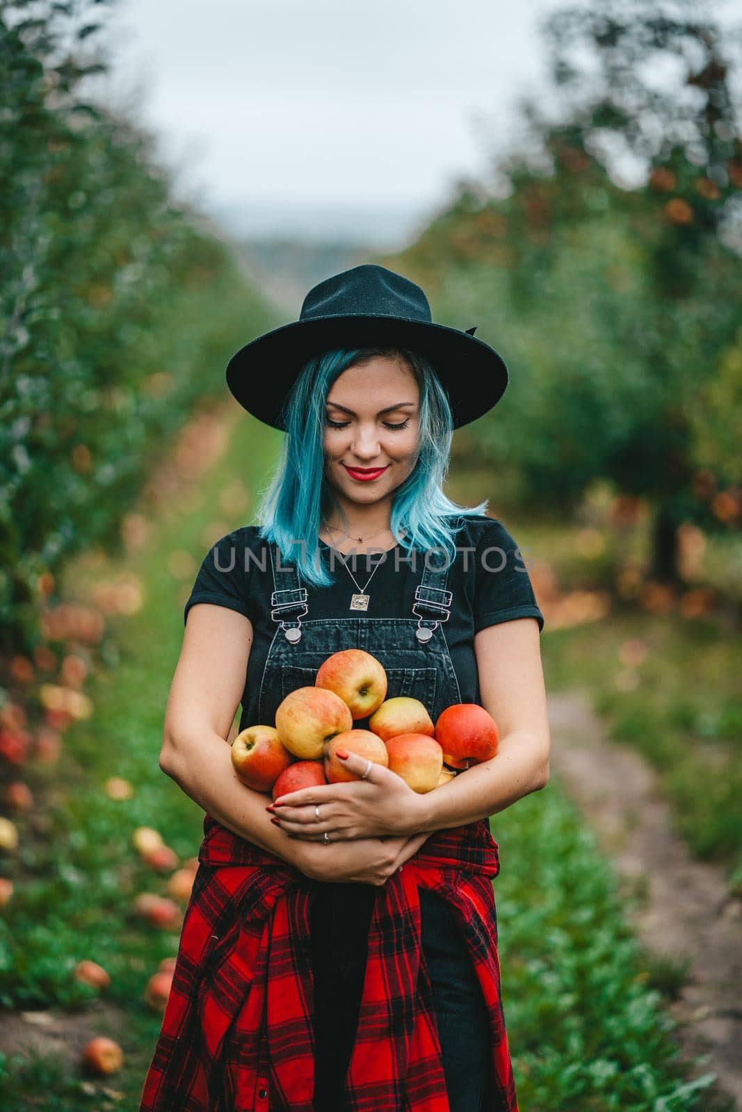 Blue haired woman picked up a lot of ripe red apple fruits from tree in green garden. Organic lifestyle, agriculture, gardener occupation. High quality FullHD footage