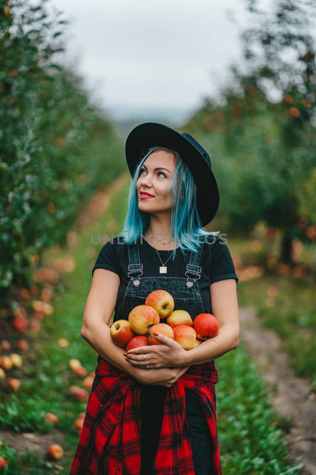Blue haired woman picked up a lot of ripe red apple fruits from tree in green garden. Organic lifestyle, agriculture, gardener occupation. High quality FullHD footage