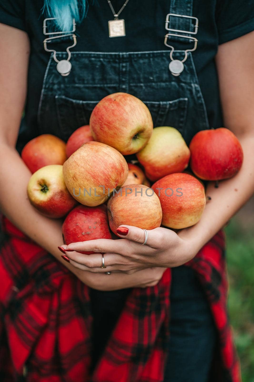 Blue haired woman picked up a lot of ripe red apple fruits from tree in green garden. Organic lifestyle, agriculture, gardener occupation. High quality FullHD footage