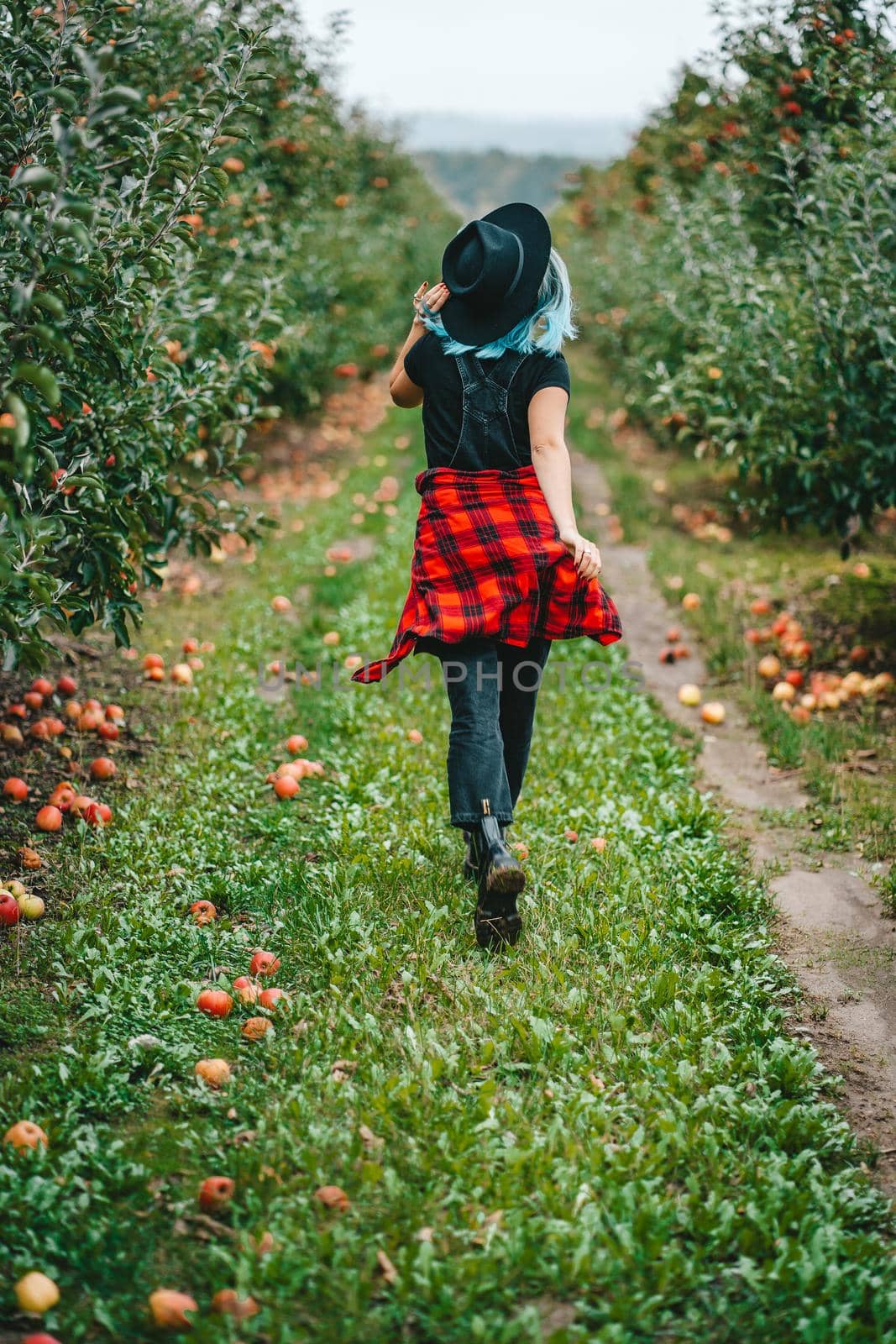 Pretty unusual woman with blue dyed hair walking alone between trees in apple garden at autumn season. Girl goes ahead away from camera. Organic, nature concept. High quality FullHD footage