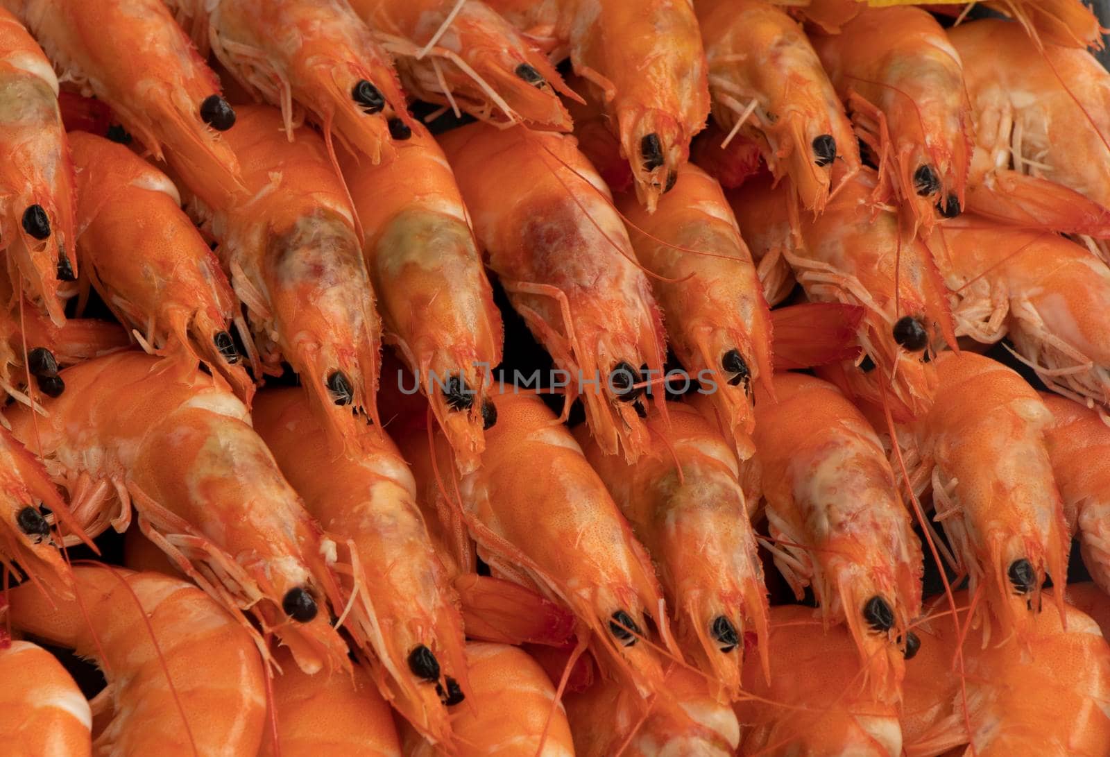 large shrimps are arranged in even rows. Ready-made seafood. Royal shrimp concept. shrimp texture. High quality photo