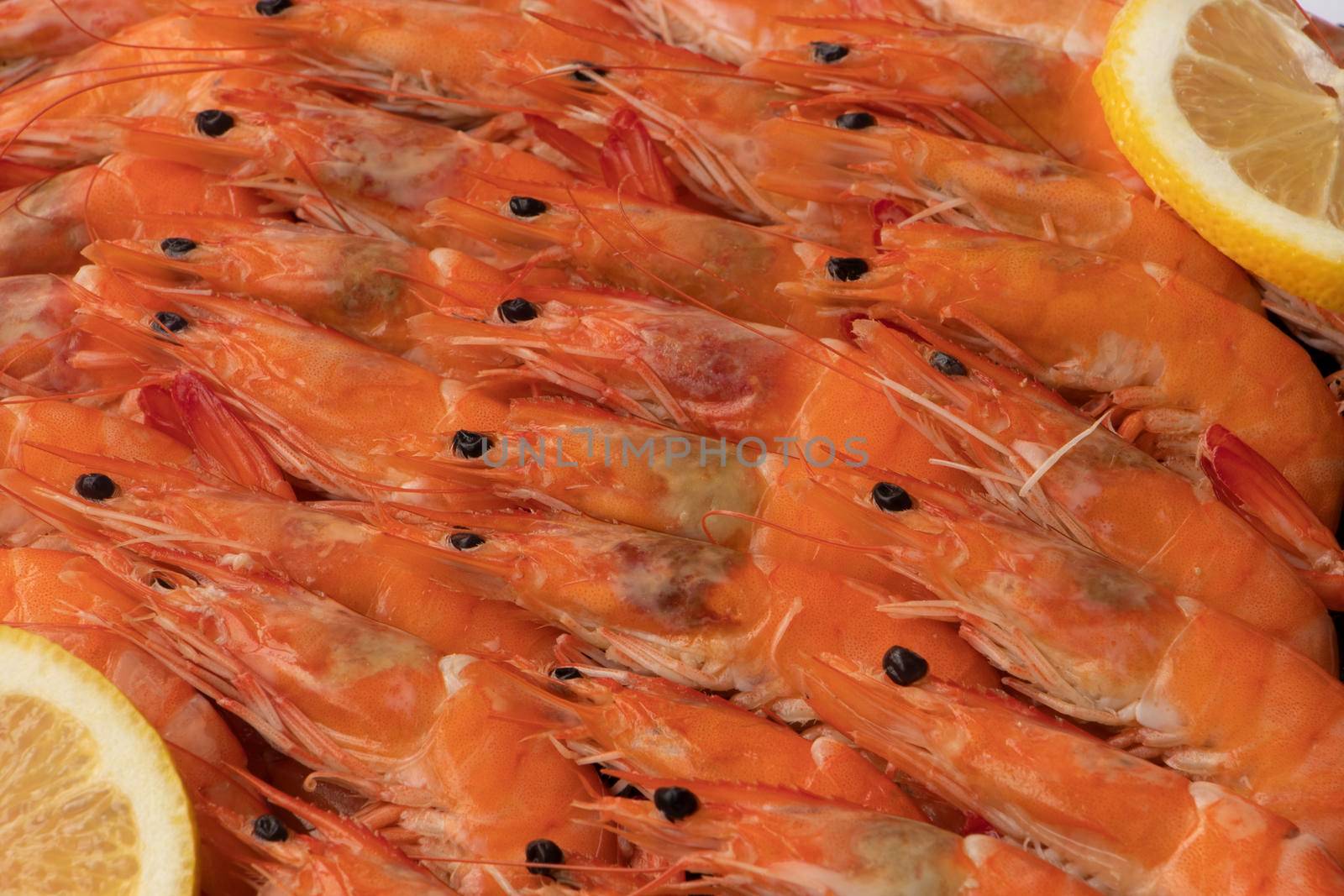 Fresh prawns on display at the supermarket. High quality photo. lie in even rows with lemon slices