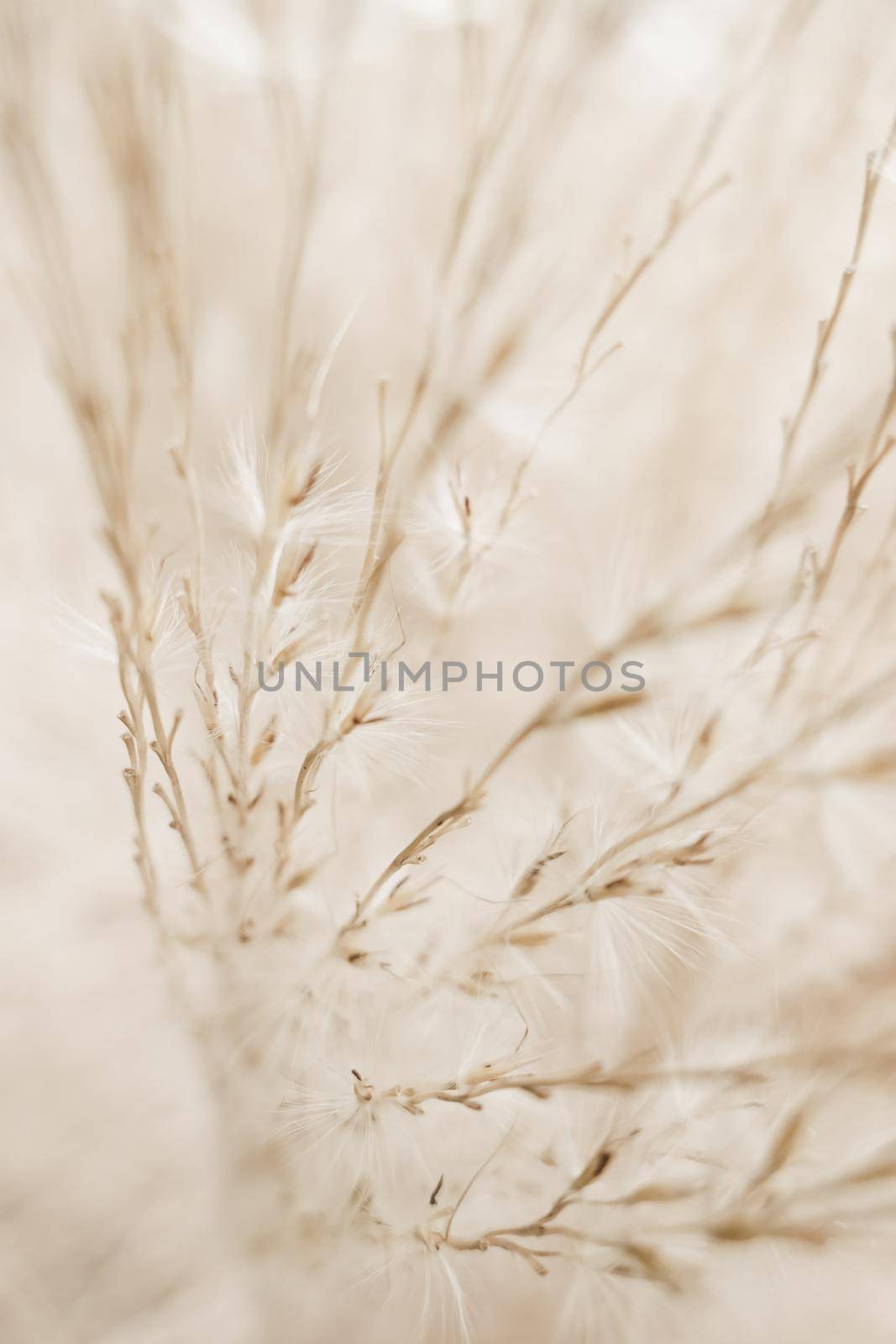 Beauty in nature, balanced lifestyle, environmental concept - Rustic autumn field