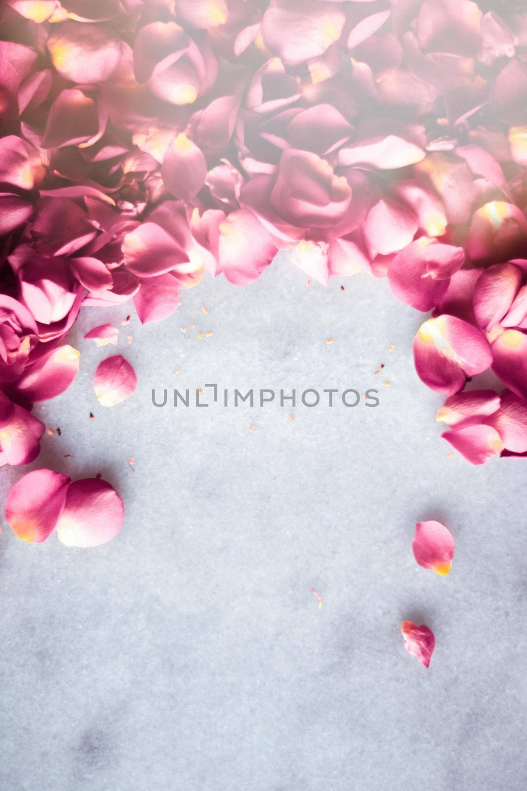 Delicate rose petals on marble stone - art of flowers, luxury background and floral beauty concept. A touch of romance