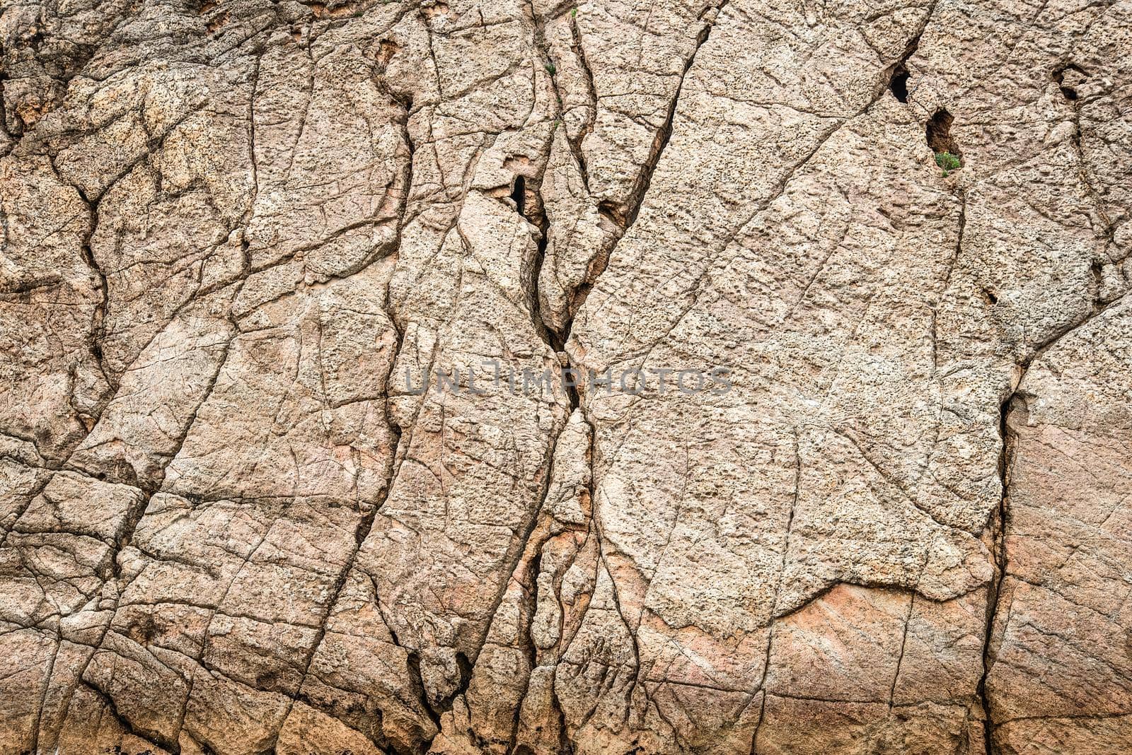 Textured background of rough rocky uneven surface of dry gray stone ground with cracks and holes in daylight