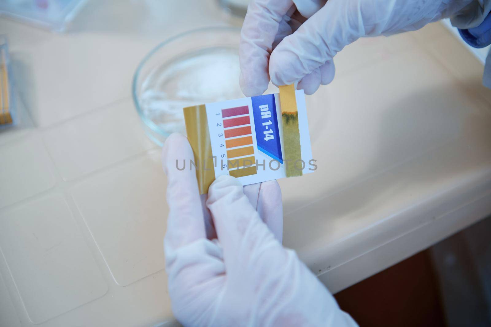 Close-up. Lab technician's hands in medical gloves, holding a litmus or reagent paper, conducting PH test, measuring the acidity or alkalinity of substances in a Petri dish in medical study laboratory
