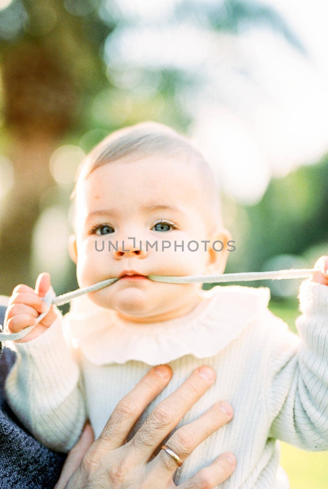 Baby in his father arms chews on his hoodie string by Nadtochiy